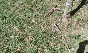 Imagem 2: Terreno à venda, 771 m² por R$ 239.000,00 - Vila Verde - Itapevi/SP