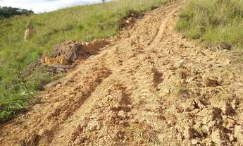 Imagem 7: IMÓVEL RURAL COM 50 HECTARES PRA ARRENDAMENTO PRA PLANTAR CAFE OU GADO, PLANA EM MG!!