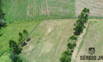 Imagem 4: Cabanha com 2ha, casa, galpões em Montenegro - Aceito veículo