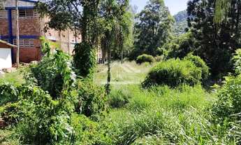 Imagem 4: Amplo terreno às margens da BR 116 em Picada Café na Serra Gaúcha