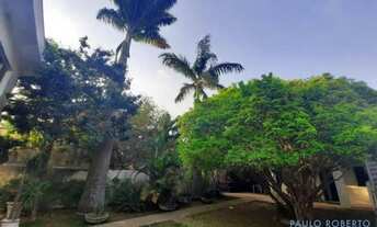 Imagem 3: CASA ASSOBRADADA - ALTO DA LAPA - SP