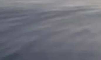 Imagem 6: FAZENDA À VENDA 37,5 HECTARES MAMBAÍ/GO