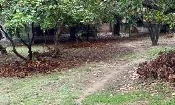 Imagem 2: EXCELENTE TERRNO-12.000M2-FREGUESIA