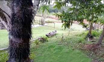 Imagem 3: Imóvel para venda possui 800000 metros quadrados em a - Careiro - AM