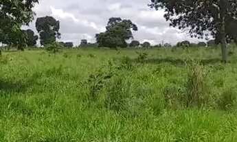Imagem 7: Fazenda à Venda em Matrinchã Goiás | 46 Alqueires