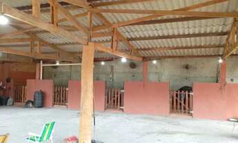 Imagem 2: HARAS EM SANTO ANTONIO DE LEVERGER