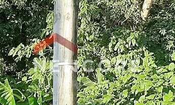 Imagem: Lote em Rua Abel Parmegiani - Floresta