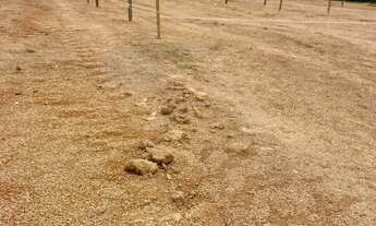 Imagem 3: Terreno à venda no Recreio Topázio Caucaia do Alto