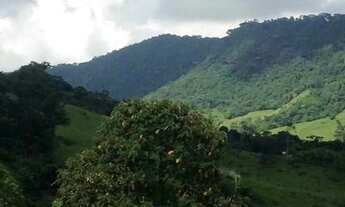 Imagem 6: Sana - Terreno Cabeceira do Sana