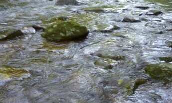 Imagem 3: Sítio.!! st426 Chácara com venda por R$280.000