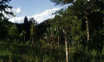 Imagem 2: Sítio.!! st426 Chácara com venda por R$280.000