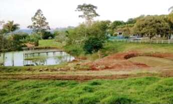 Imagem 1: Fazenda na pecuária na beira da Raposo Tavares