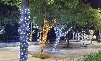 Imagem 3: Locação 3DORMS,SUITE, PLANEJADO, LINDO OFERTA