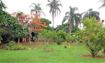 Imagem 5: Lindíssima Chácara