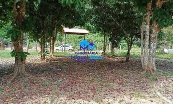 Imagem 4: Chácara 50x106 com Ótimo Sobrado próximo ao Balneário Coqueiral