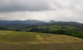 Imagem 6: Sítio a venda possui 128.000 metros quadrados, 02 casas e 01 lago
