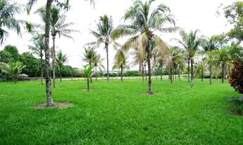 Imagem 7: Haras c/ 11 alqueires a venda em São Pedro, todo completo c/ 6 piquetes, 3 casas, em frent