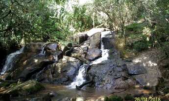 Imagem 6: Sítio com 2 dormitórios à venda, 228448 m² por R$ 1.350.000,00 - Zona Rural - Pinhalzinho