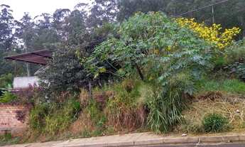 Imagem 5: Terreno 276 metros plano lindo frente para rua asfaltada, excelente localização, acesso só
