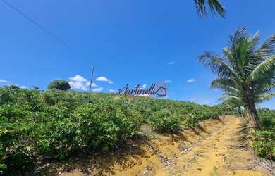 Imagem 5: Chácara, de2.000 a 3.600 metros, de fácil acesso perto da serra próximo ao pedágio da se