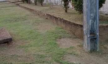 Imagem 7: Casa - Alugar Casa com 3 dormitórios