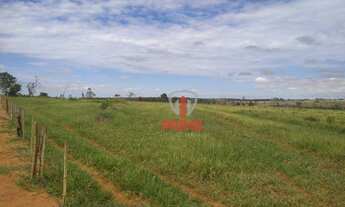 Imagem 4: Fazenda à venda 53 Alqueires por R$ 6.890.000 - Sandovalina/São Paulo