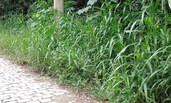 Imagem 7: Lote/Terreno para venda tem 5800 metros quadrados em Represa - Ribeirão Pires - SP