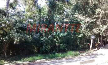 Imagem 3: Em Serra Da Cantareira