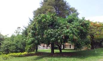 Imagem 5: Área - Venda - Medeiros - Cod. 797