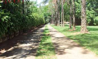 Imagem 7: Excelente chácara na Rota 81 - 9.000m2