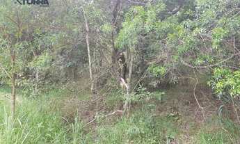 Imagem: Terreno à venda de 904 m² no Bosque dos