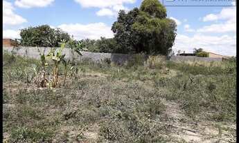Imagem: TERRENO VILA ZÉLIA - LORENA - SP