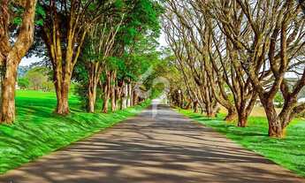 Imagem 7: Lote incrível próximo à entrada do condomínio à venda na Fazenda Serrazul I