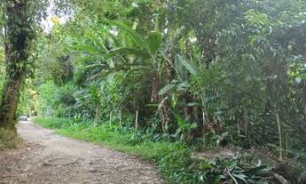 Imagem 7: Area /Terreno com mato e com pouco de arvores e fundo para rio