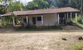 Imagem 2: Sítio pronto para engorda de peixes e com produção de Palmitos Pupunha (Willian Ricardo