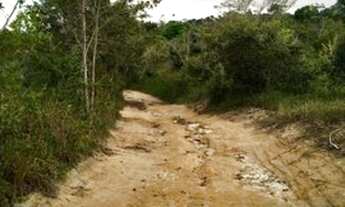 Imagem 4: Fazenda para Venda em Porto Seguro, arraial d ajuda