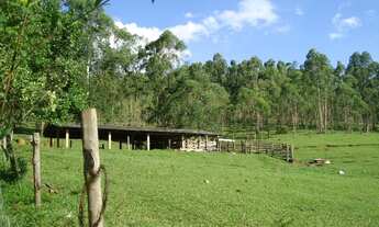 Imagem 12: Sítio para venda no bairro Morro Grande em Bragança Paulista