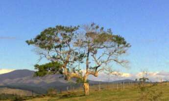 Imagem 2: Excelente área MULTIFAMILIAR