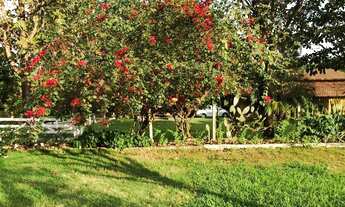 Imagem 5: Chácara para venda possui 20.000 metros quadrados com 4 quartos