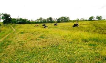 Imagem 4: Sítio à venda, 96800 m² por R$ 800.000,00 - Capituba - Guaratinguetá/SP