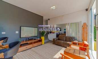 Imagem 4: Alpha Sitio, ponto Alto linda Vista!