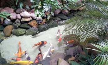 Imagem 4: Venda de Casas / Padrão na cidade de Araraquara