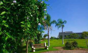 Imagem 5: Terreno à venda, 756 m² por R$ 500.000,00 - Torrão de Ouro - São José dos Campos/SP