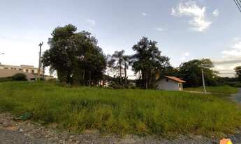 Imagem: TERRENOS NO NOVA BRASÍLIA