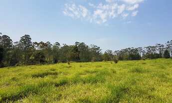 Imagem 6: Terreno no bairro Chácaras Ceres