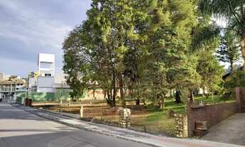 Imagem 4: TERRENO URBANO COMERCIAL - CENTRO - RIO NEGRINHO