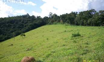 Imagem 3: Sítio com 2 dormitórios à venda, 228448 m² por R$ 1.350.000,00 - Zona Rural - Pinhalzinho