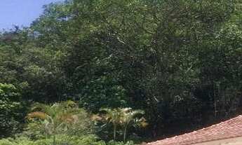 Imagem 4: SITIO COM 8 SUITES - BIRITIBA MIRIM