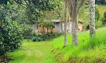 Imagem 3: Rural de 70000 metros quadrados no bairro Ipelândia com 3 quartos