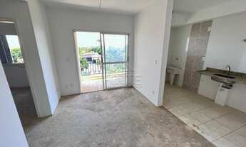 Imagem 2: PIRACICABA - Padrão - Campestre